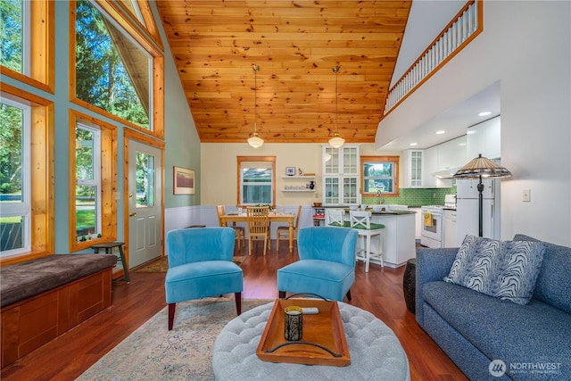 12916 91st Street Ct, Anderson Island, WA 98303 - living room with plenty of natural light, high vaulted ceiling, and dark wood-style flooring