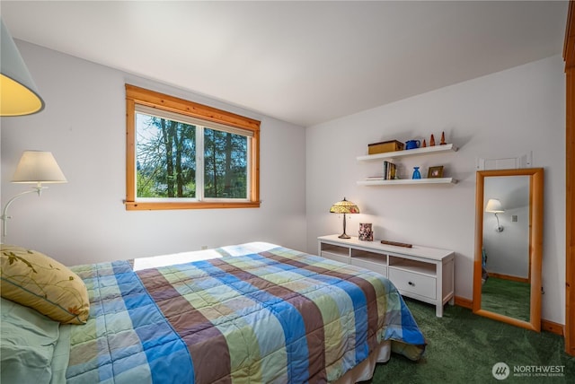 12916 91st Street Ct, Anderson Island, WA 98303 - bedroom featuring dark carpet and baseboards
