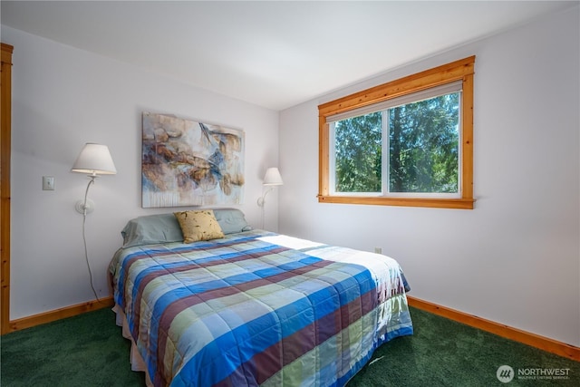 12916 91st Street Ct, Anderson Island, WA 98303 - bedroom featuring baseboards and carpet flooring