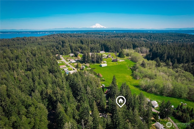 12916 91st Street Ct, Anderson Island, WA 98303 - bird's eye view with a water view and a wooded view
