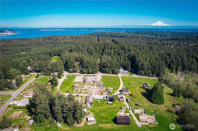 12916 91st Street Ct, Anderson Island, WA 98303 - bird's eye view with a water and mountain view and a wooded view