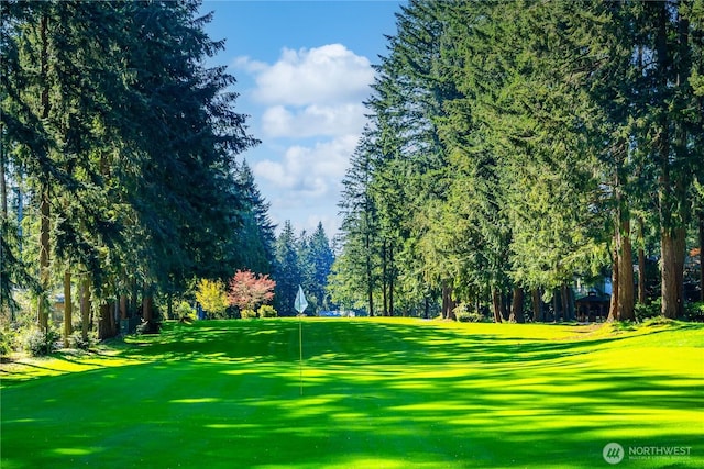 12916 91st Street Ct, Anderson Island, WA 98303 - surrounding community featuring a lawn