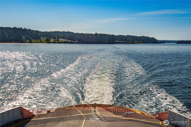 12916 91st Street Ct, Anderson Island, WA 98303 - property view of water with a wooded view
