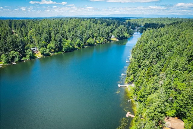 12916 91st Street Ct, Anderson Island, WA 98303 - drone / aerial view featuring a wooded view and a water view
