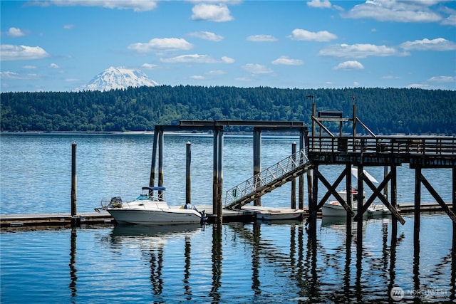 12916 91st Street Ct, Anderson Island, WA 98303 - dock area with a view of trees and a water view