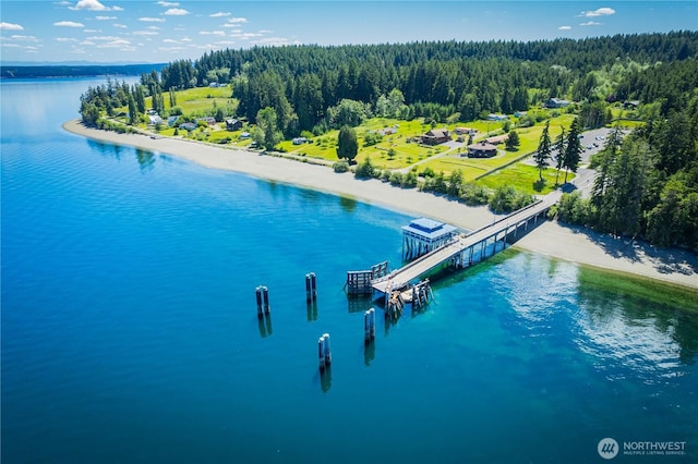 12916 91st Street Ct, Anderson Island, WA 98303 - aerial view featuring a view of trees and a water view