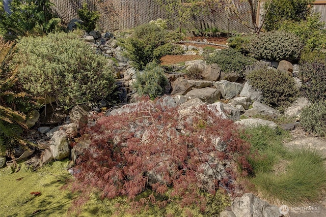 view of nature
