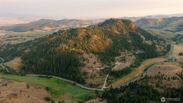 mountain view