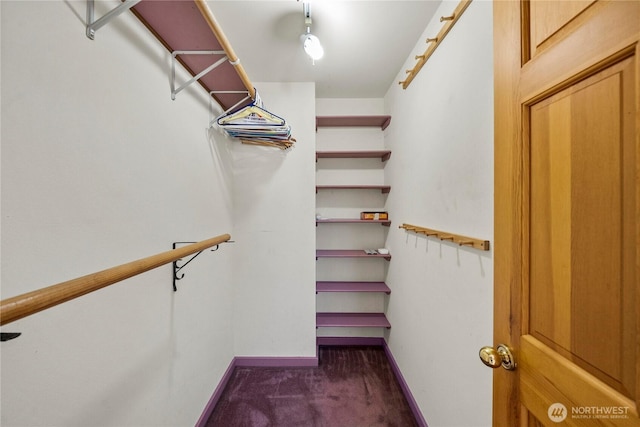 5201 Hyada Blvd NE, Tacoma, WA 98422 - spacious closet featuring carpet flooring