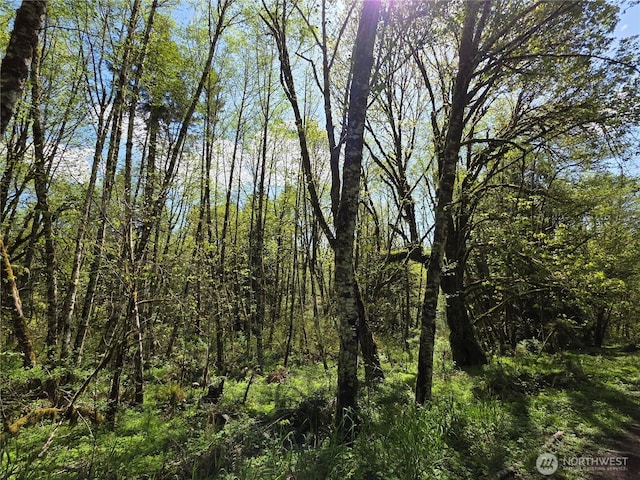 0 Mill Falls Ln, Longview, WA 98632
