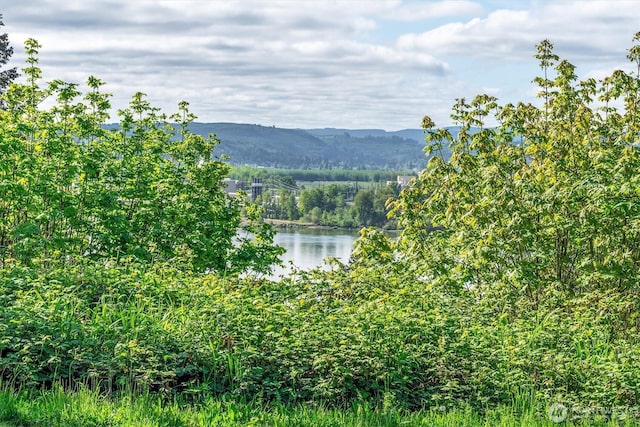 0 Mill Falls Ln, Longview, WA 98632