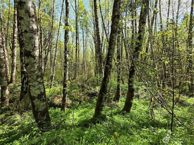 0 Mill Falls Ln, Longview, WA 98632