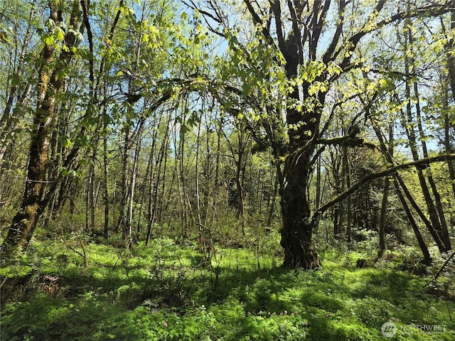 0 Mill Falls Ln, Longview, WA 98632