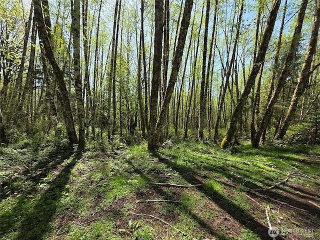 0 Mill Falls Ln, Longview, WA 98632