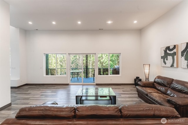 43 Rocky Ridge Dr, Bellingham, WA 98229 - living area with wood finished floors, baseboards, and recessed lighting