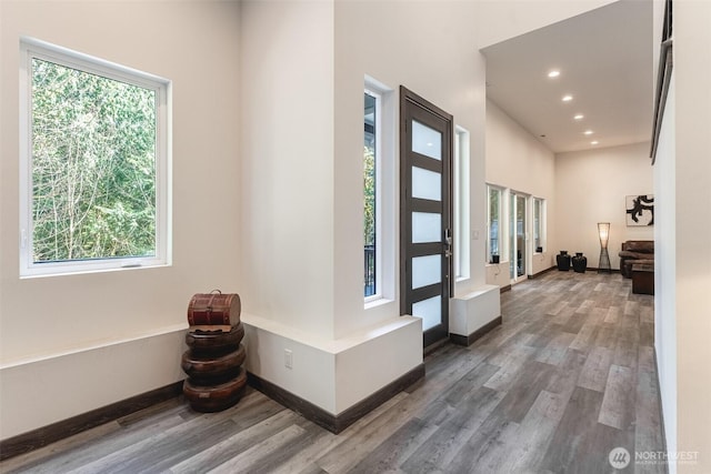 43 Rocky Ridge Dr, Bellingham, WA 98229 - corridor with recessed lighting, a towering ceiling, wood finished floors, and baseboards