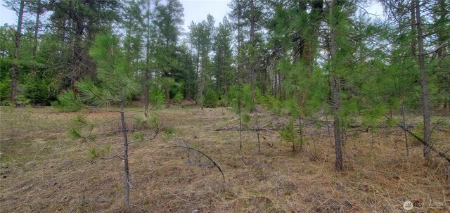 17 Spur Rd, Tonasket, WA 98855