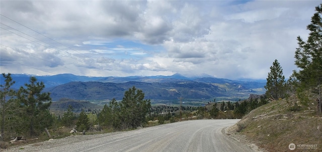 17 Spur Rd, Tonasket, WA 98855