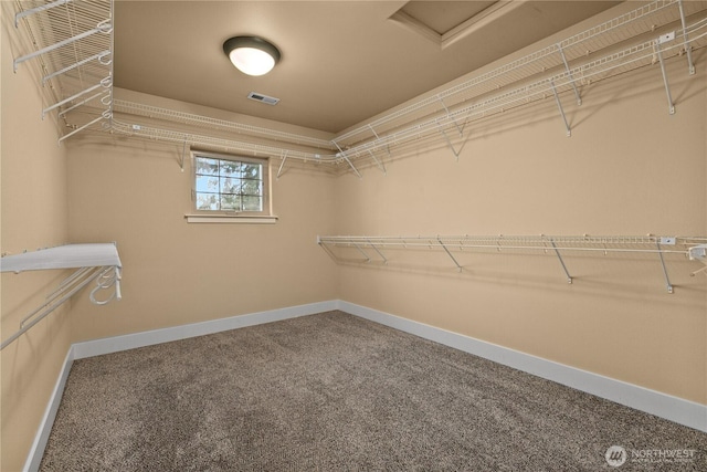 spacious closet featuring carpet flooring