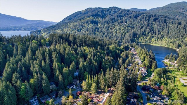 mountain view with a heavily wooded area and a large body of water