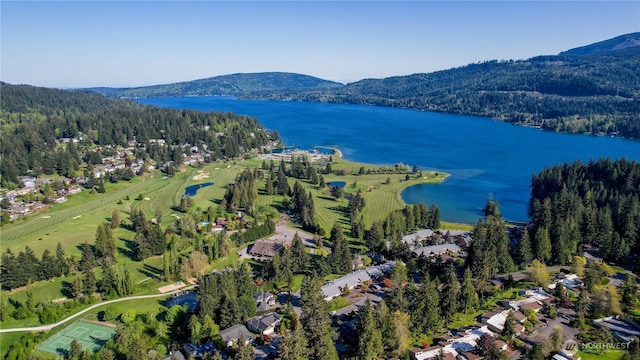 bird's eye view of a water and mountain view and a heavily wooded area
