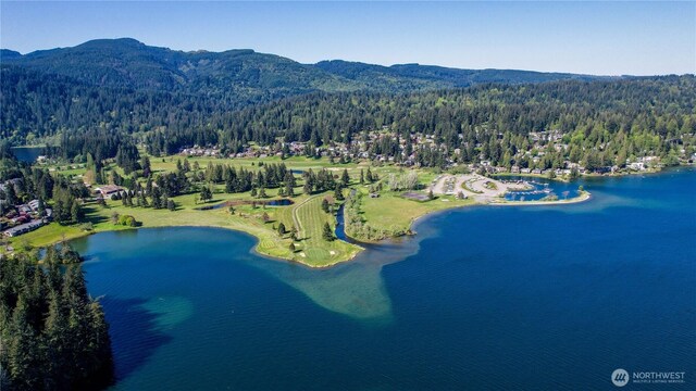 drone / aerial view of a forest and a water and mountain view