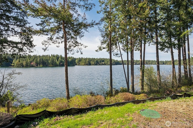 21941 Promontory Ct SE, Yelm, WA 98597