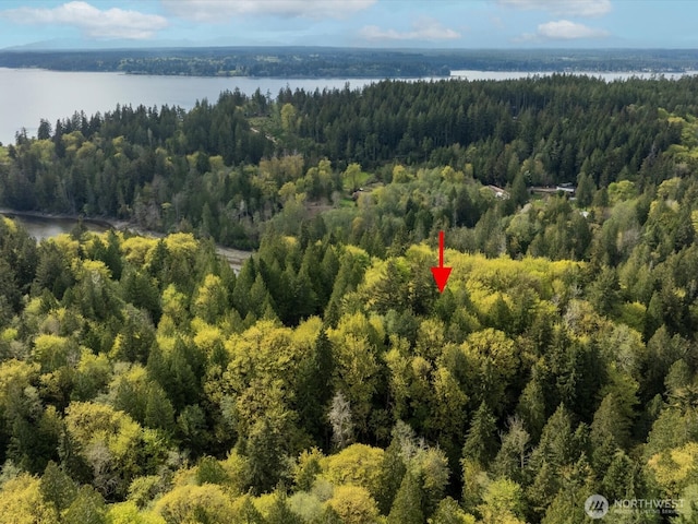 0 Reynolds Rd NW, Vaughn, WA 98394