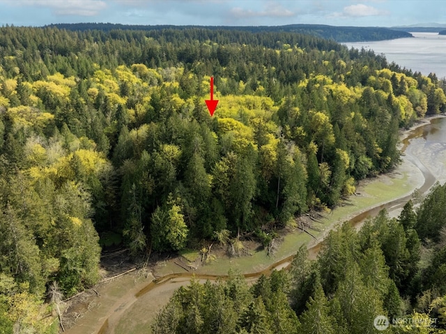 0 Reynolds Rd NW, Vaughn, WA 98394