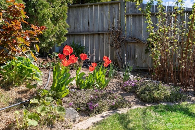 view of yard featuring fence