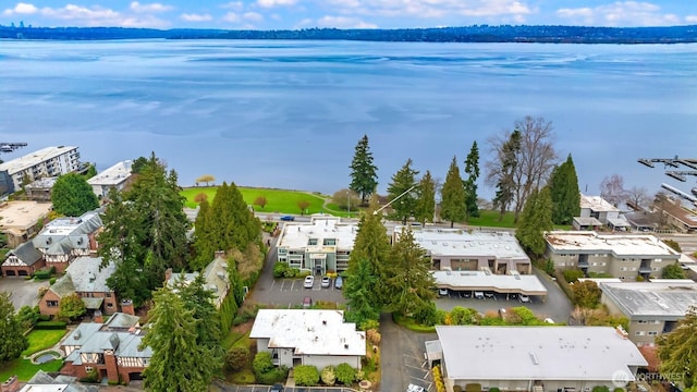 aerial view with a residential view and a water view