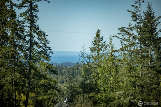 mountain view featuring a forest view
