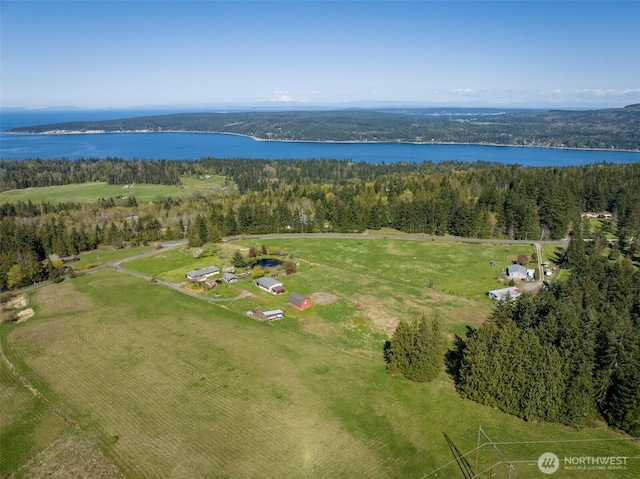 aerial view featuring a view of trees and a water view