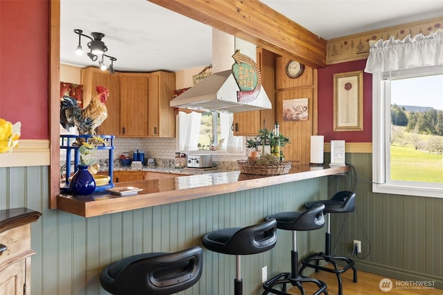 kitchen featuring wainscoting, a peninsula, a wealth of natural light, and range hood