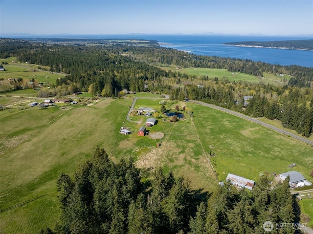 bird's eye view with a forest view and a water view