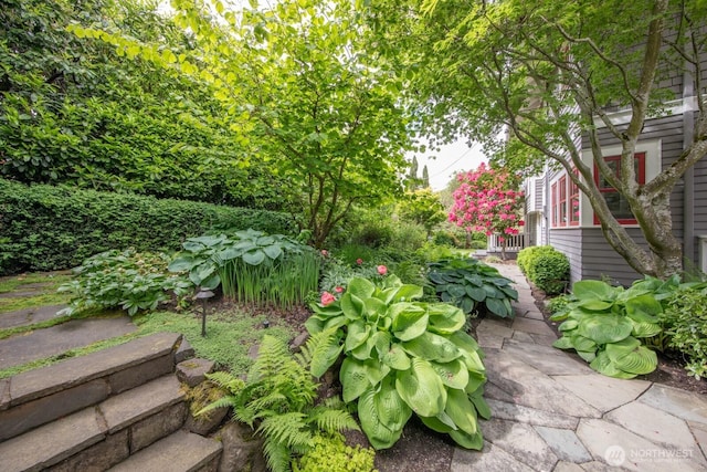 4015 S Andover St, Seattle, WA 98118 - view of yard