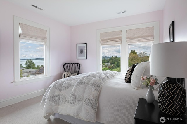 4015 S Andover St, Seattle, WA 98118 - bedroom with baseboards and carpet