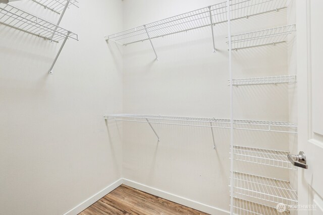 spacious closet with wood finished floors