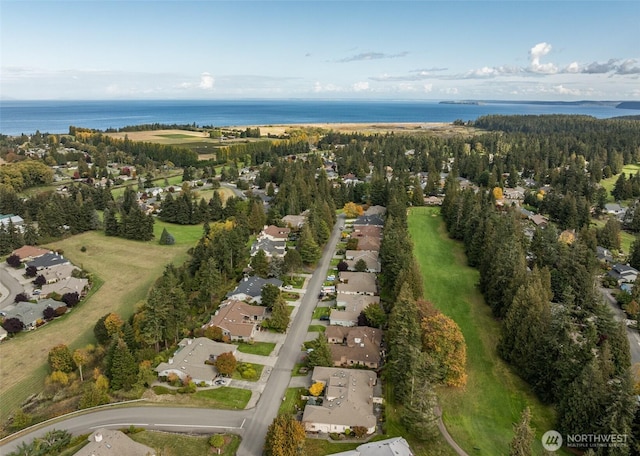 169 Fairway Dr, Sequim, WA 98382 - birds eye view of property featuring a residential view and a water view