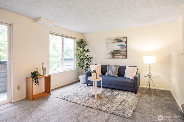 living area with carpet, a textured ceiling, baseboards, and plenty of natural light