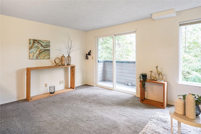 living area with plenty of natural light, a textured ceiling, and carpet
