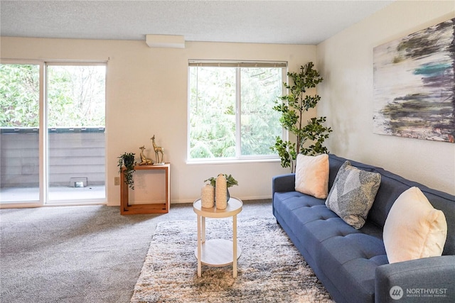 view of carpeted living area