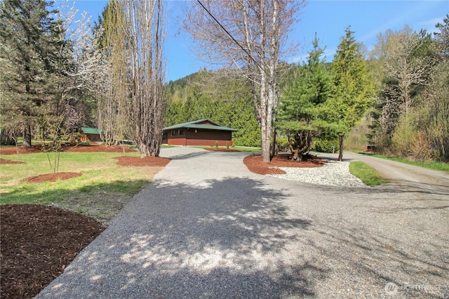 view of property's community featuring a forest view and curved driveway