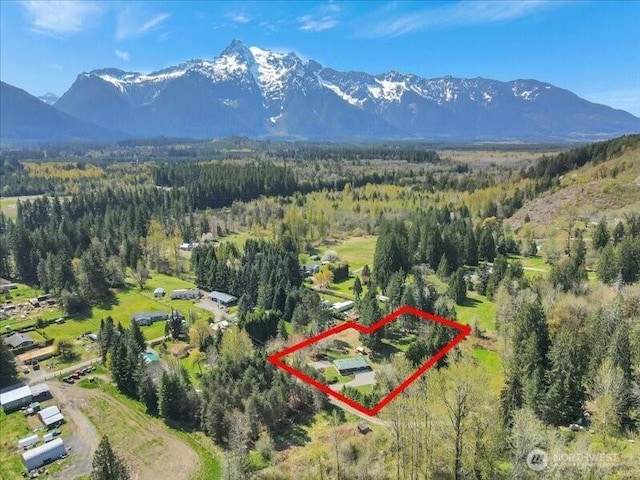 bird's eye view featuring a forest view and a mountain view