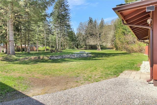 view of yard