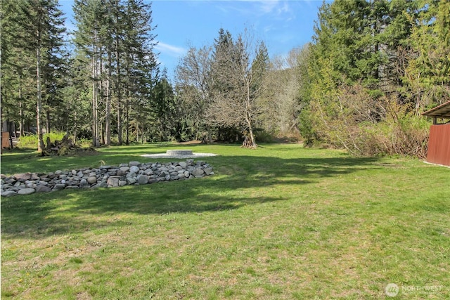 view of yard
