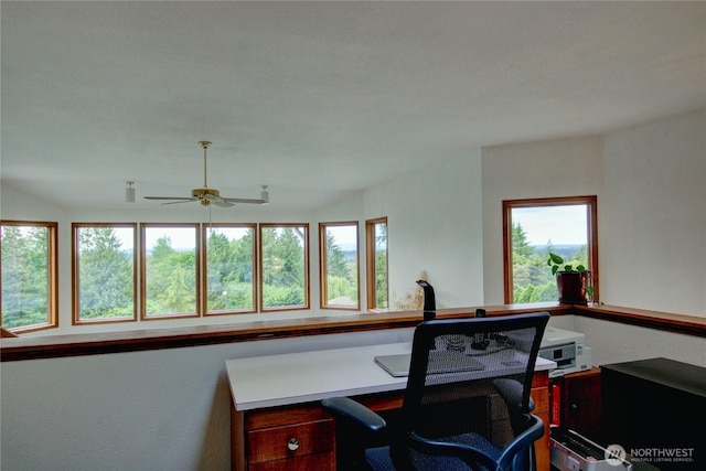 17609 S Skyridge Dr, Mount Vernon, WA 98274 - photo 31