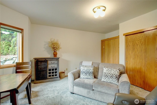 17609 S Skyridge Dr, Mount Vernon, WA 98274 - photo 34