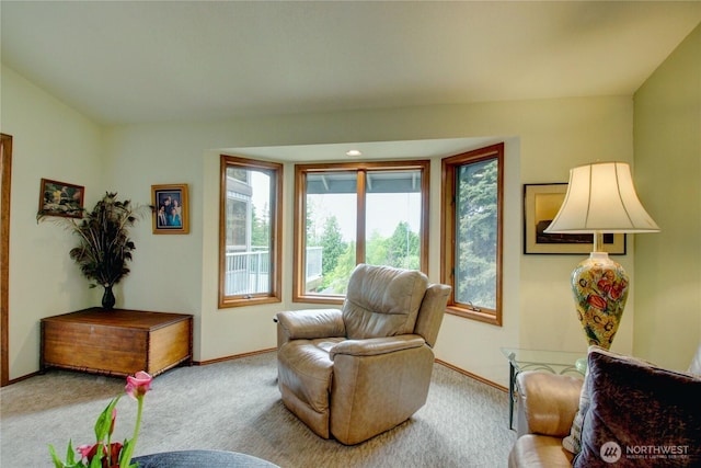 17609 S Skyridge Dr, Mount Vernon, WA 98274 - photo 24