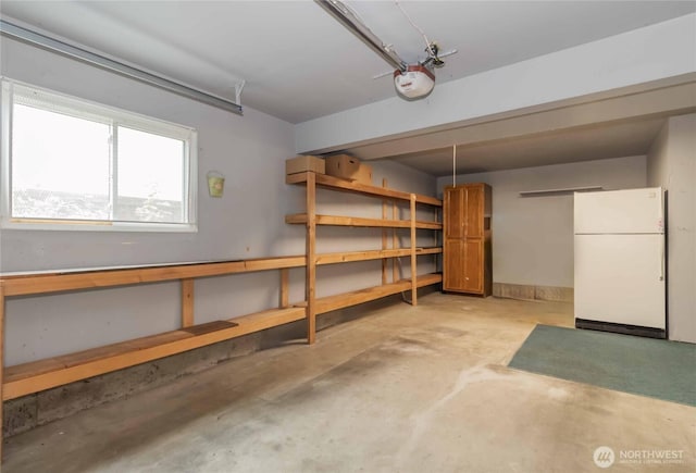 storage room featuring a garage